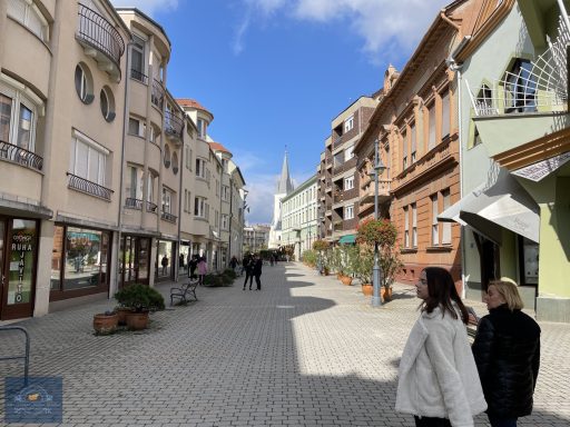 Kaposvár